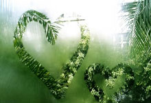 湘超3：3永州队首战客场逼平张家界队