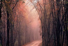 我站祝各位网友新年快乐！