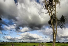 国家主席习近平发表二〇二六年新年贺词